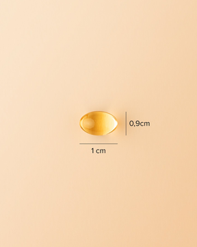 Super Omega-3 TG | 240 caps