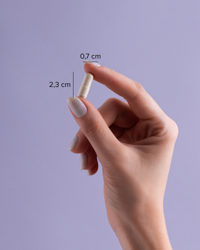 B Complex 120 caps | 120 doses